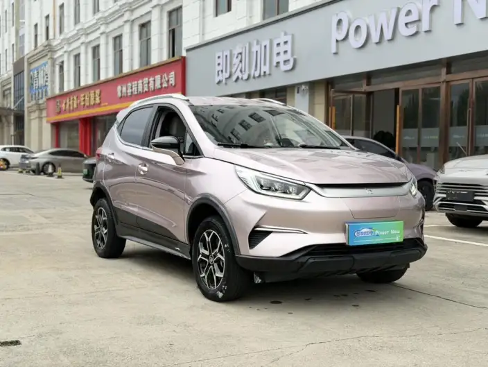 Yuan Pro 2023 Model 401KM Luxury Model – фото 3