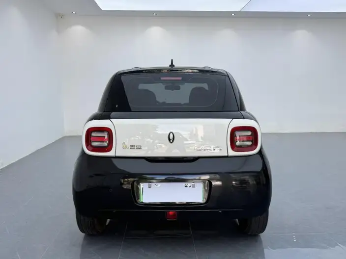 ORA Black Cat 2021 Model 351km Standard Model – фото 5