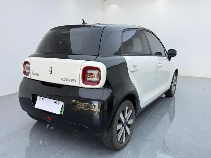 ORA Black Cat 2021 Model 351km Standard Model – фото 6