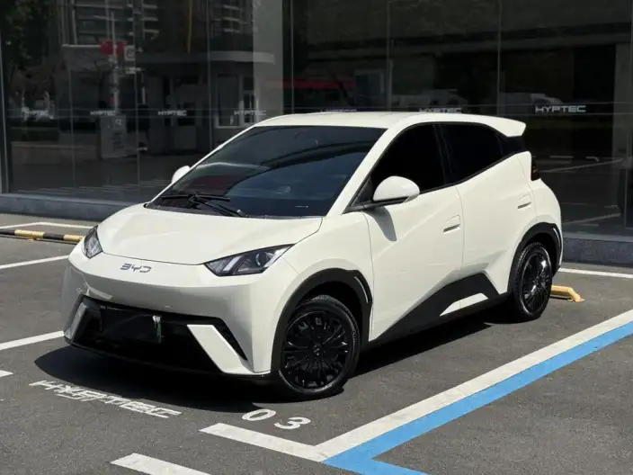 BYD Seagull 2024 Model Honor Edition 305KM Vitality Edition – фото 1