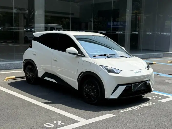 BYD Seagull 2024 Model Honor Edition 305KM Vitality Edition – фото 3