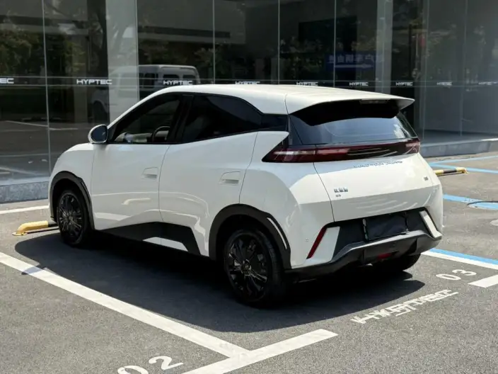 BYD Seagull 2024 Model Honor Edition 305KM Vitality Edition – фото 4