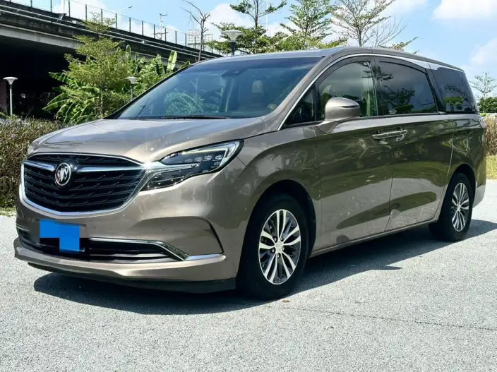 Buick GL8 2021 Model ES Luzun 653T Exclusive Model – фото 1