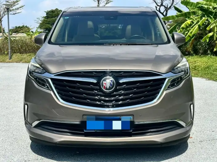 Buick GL8 2021 Model ES Luzun 653T Exclusive Model – фото 2