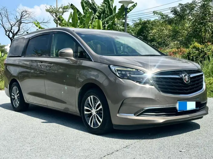 Buick GL8 2021 Model ES Luzun 653T Exclusive Model – фото 3
