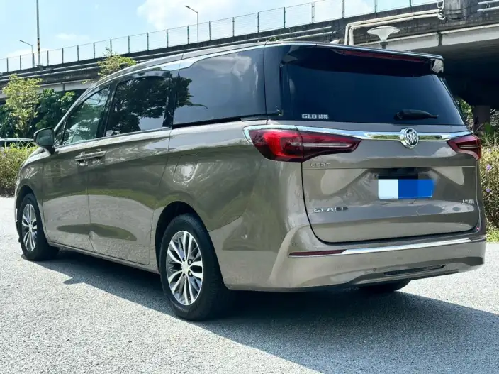 Buick GL8 2021 Model ES Luzun 653T Exclusive Model – фото 4