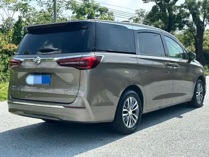 Buick GL8 2021 Model ES Luzun 653T Exclusive Model – фото 6