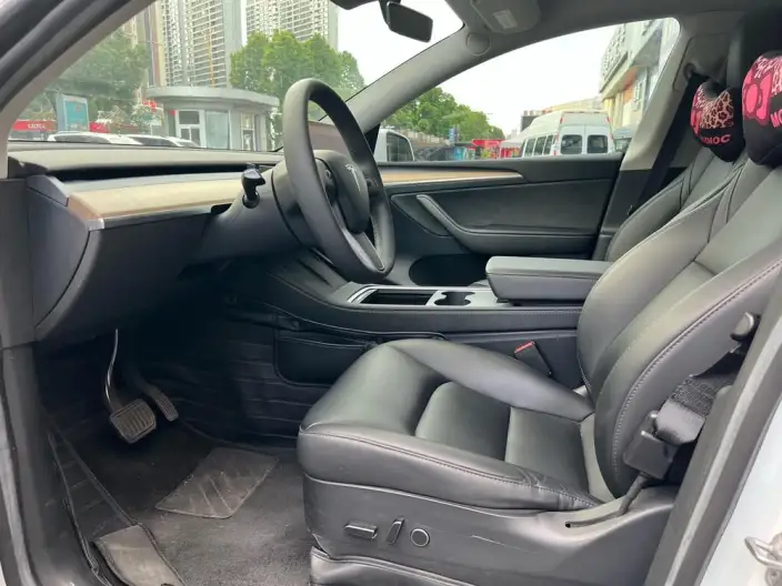 Model Y 2022 Model Facelift Rear-wheel drive version – фото 8