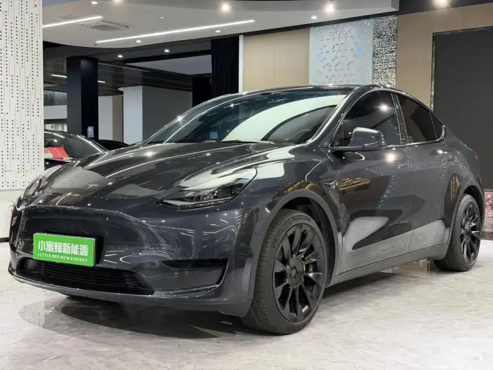 Model Y 2024 Model Rear-wheel drive version – фото 1