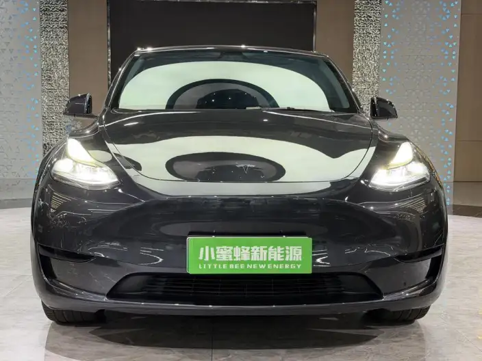 Model Y 2024 Model Rear-wheel drive version – фото 2
