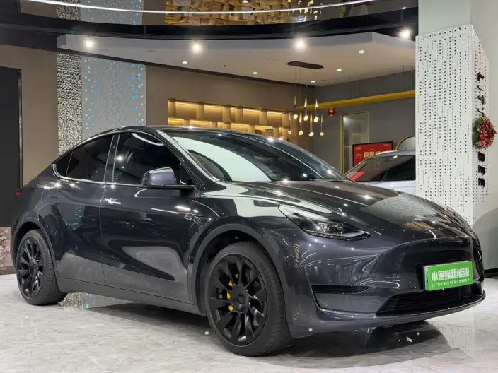Model Y 2024 Model Rear-wheel drive version – фото 3