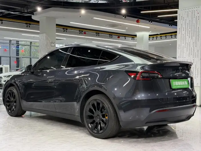 Model Y 2024 Model Rear-wheel drive version – фото 4