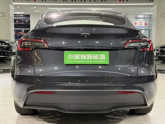 Model Y 2024 Model Rear-wheel drive version – фото 5