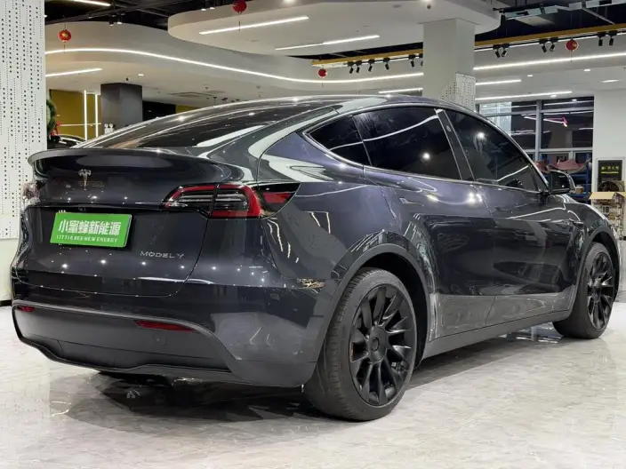 Model Y 2024 Model Rear-wheel drive version – фото 6