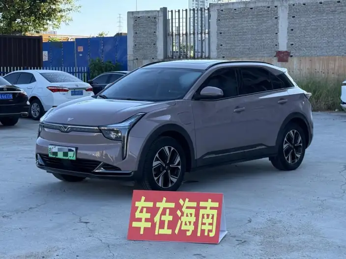 Neta U 2022 Model Smart 400 Pro Lithium Iron Phosphate