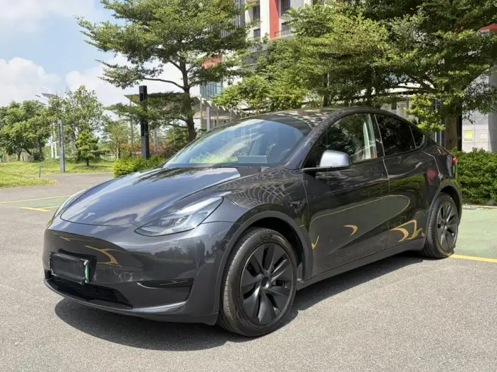 Model Y 2024 Model Rear-wheel drive version – фото 1