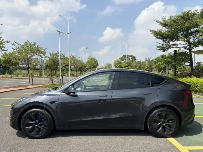 Model Y 2024 Model Rear-wheel drive version – фото 3