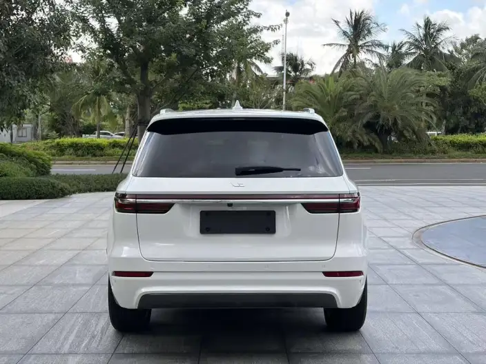 Li Auto ONE 2020 Model Extended Range 6 seat Edition – фото 5