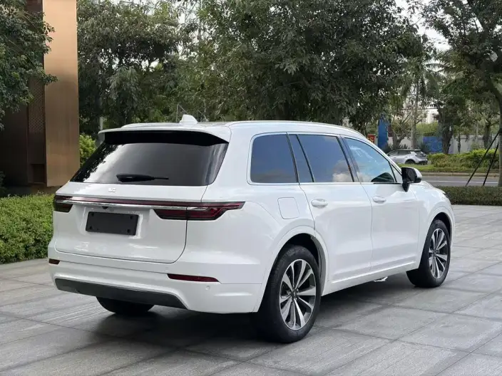Li Auto ONE 2020 Model Extended Range 6 seat Edition – фото 6