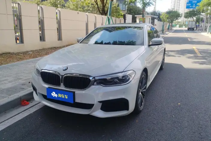 BMW 5 Series 2020 Model 530Li Leading Model M Sports Set – фото 1