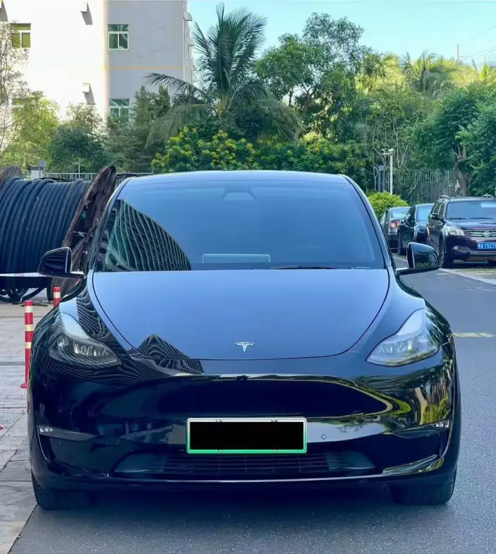 Model Y 2021 Model Standard Battery Life Rear-wheel drive version – фото 2