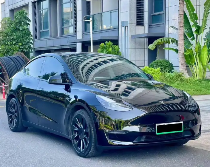 Model Y 2021 Model Standard Battery Life Rear-wheel drive version – фото 3