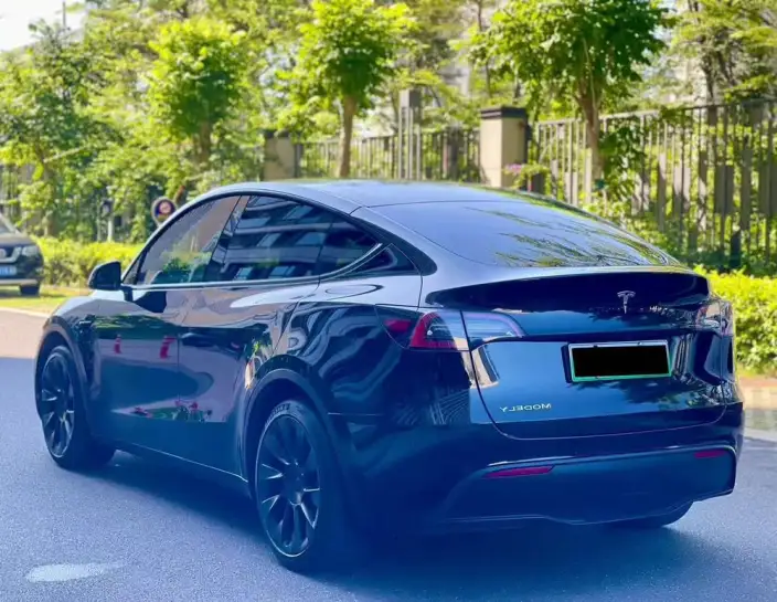 Model Y 2021 Model Standard Battery Life Rear-wheel drive version – фото 4
