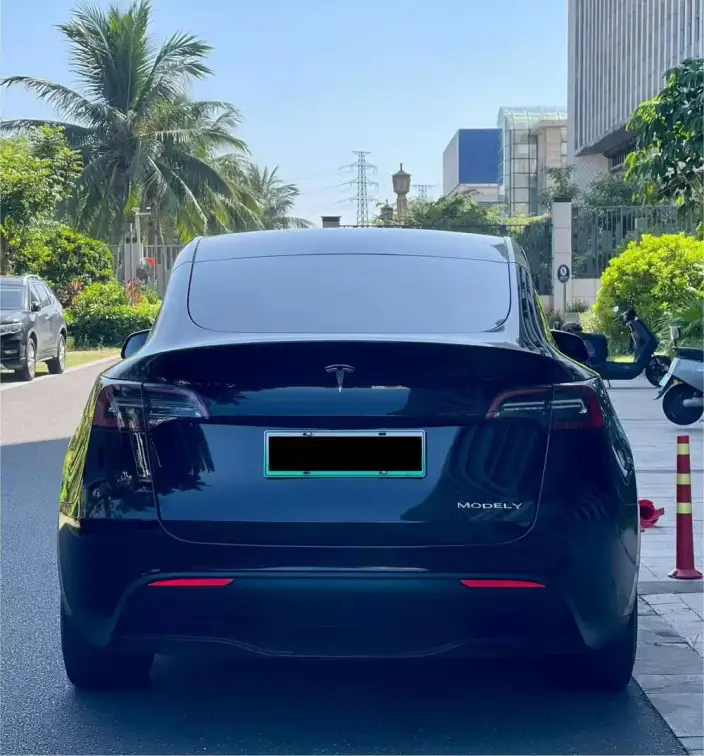 Model Y 2021 Model Standard Battery Life Rear-wheel drive version – фото 5
