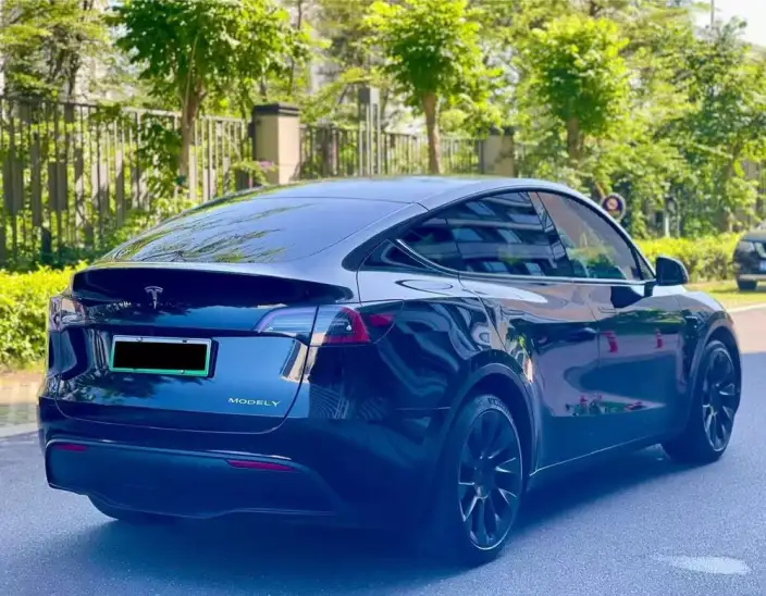 Model Y 2021 Model Standard Battery Life Rear-wheel drive version – фото 6
