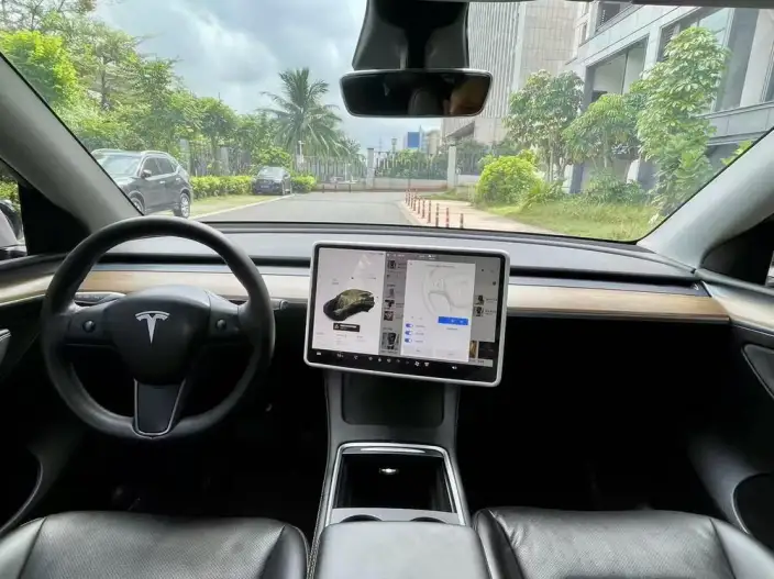 Model Y 2021 Model Standard Battery Life Rear-wheel drive version – фото 7