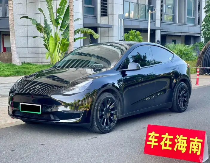 Model Y 2021 Model Standard Battery Life Rear-wheel drive version – фото 10