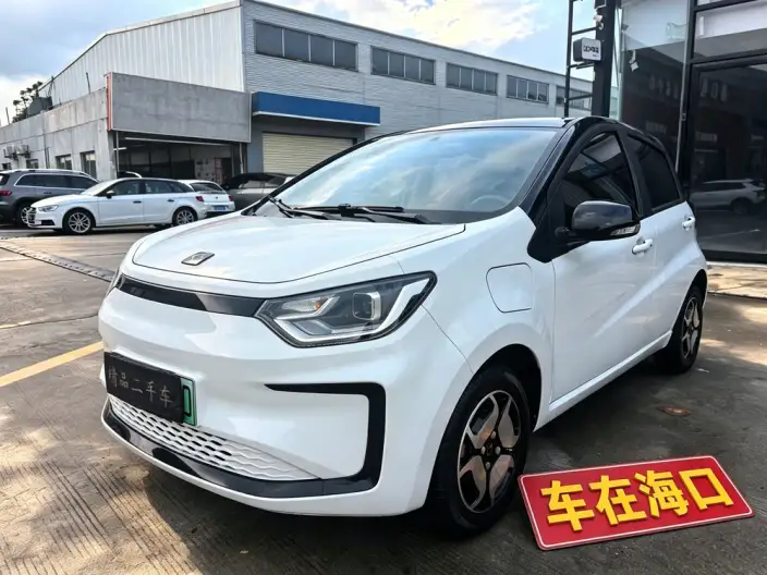 Sehol E10X 2021 Model 302km Luxury Model 31.4kWh