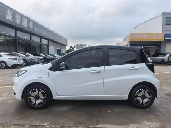 Sehol E10X 2021 Model 302km Luxury Model 31.4kWh