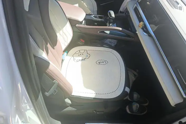 Geely Xingyue L 2021 Model 2.0TD DCT EVO 2WD Noble Model – фото 6