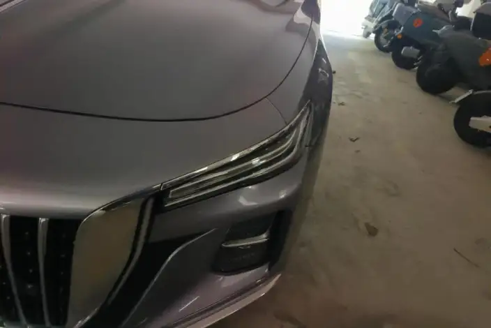 Hongqi H5 2023 Model 2.0T Automatic Smart Flag Enjoy Edition – фото 4