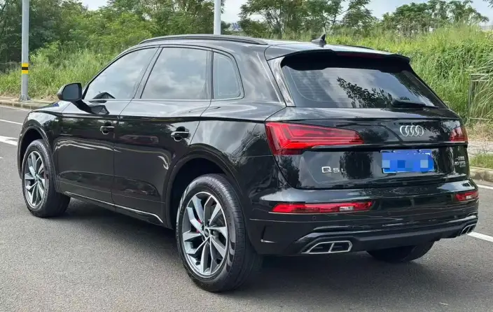 Audi Q5L 2025 Model quattro 45th Anniversary Collector Edition Edition 40TFSI Luxury Dynamic Model – фото 4