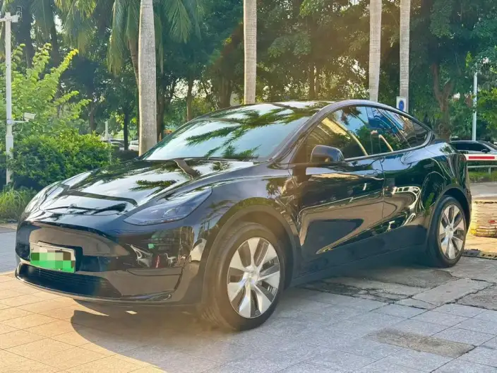Model Y 2022 Model Facelift Rear-wheel drive version – фото 1