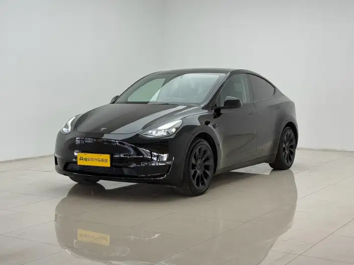 Model Y 2021 Model Standard Battery Life Rear-wheel drive version – фото 1