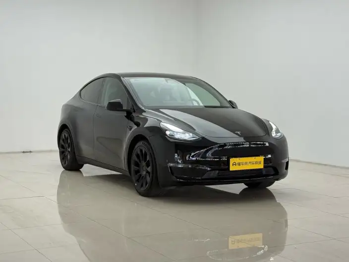 Model Y 2021 Model Standard Battery Life Rear-wheel drive version – фото 3