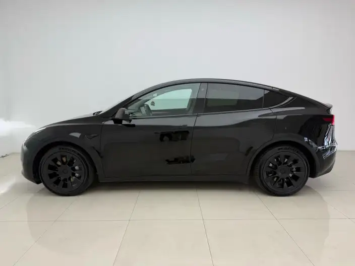 Model Y 2021 Model Standard Battery Life Rear-wheel drive version – фото 4
