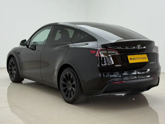 Model Y 2021 Model Standard Battery Life Rear-wheel drive version – фото 5