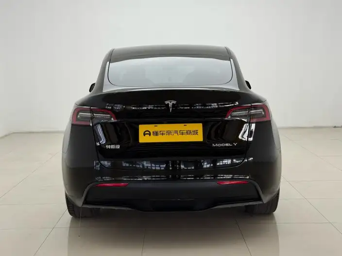 Model Y 2021 Model Standard Battery Life Rear-wheel drive version – фото 6