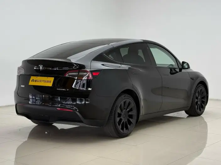 Model Y 2021 Model Standard Battery Life Rear-wheel drive version – фото 7