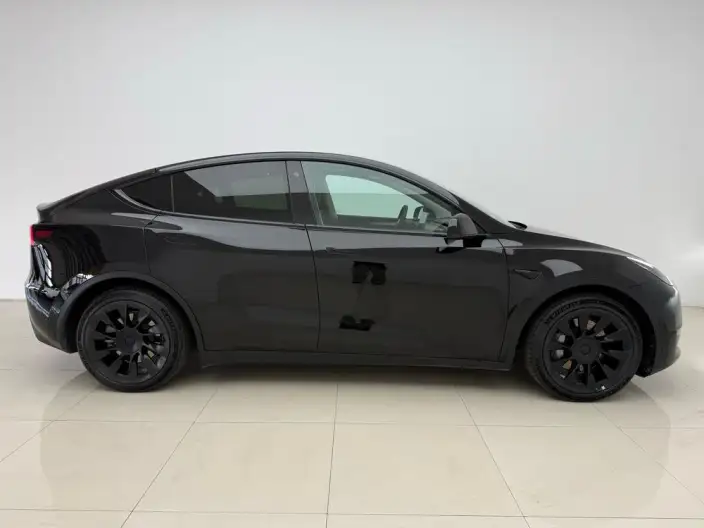 Model Y 2021 Model Standard Battery Life Rear-wheel drive version – фото 8