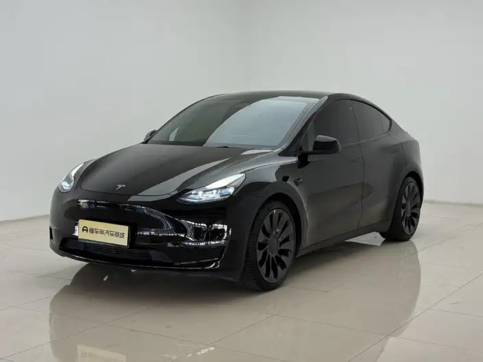 Model Y 2022 Model Performance High performance All-wheel drive version – фото 1