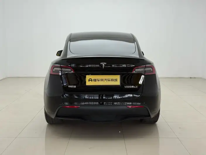 Model Y 2022 Model Performance High performance All-wheel drive version – фото 6