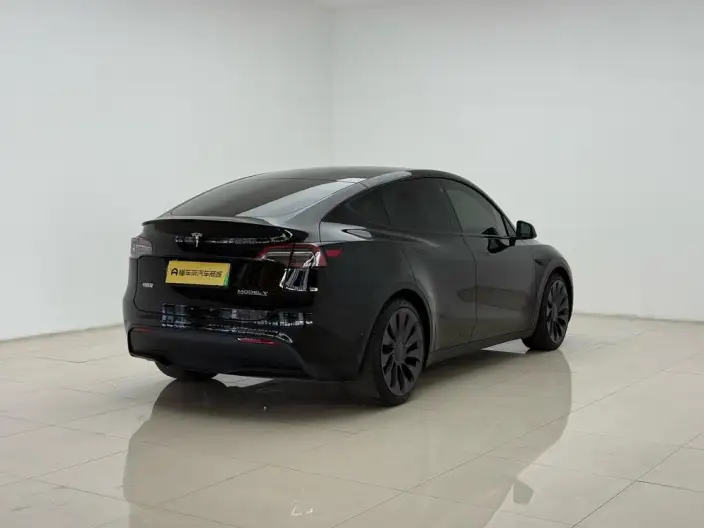 Model Y 2022 Model Performance High performance All-wheel drive version – фото 7