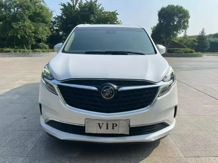 Buick GL8 2021 Model ES Luzun 653T Exclusive Model – фото 2