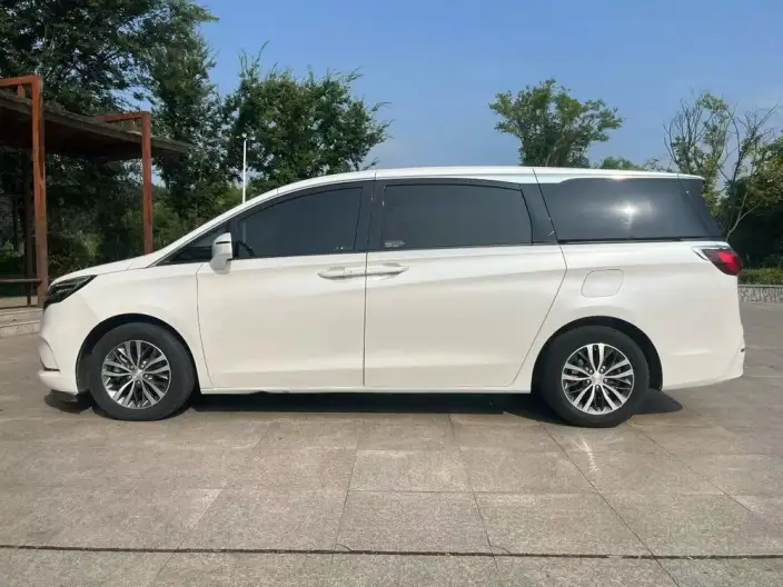 Buick GL8 2021 Model ES Luzun 653T Exclusive Model – фото 3