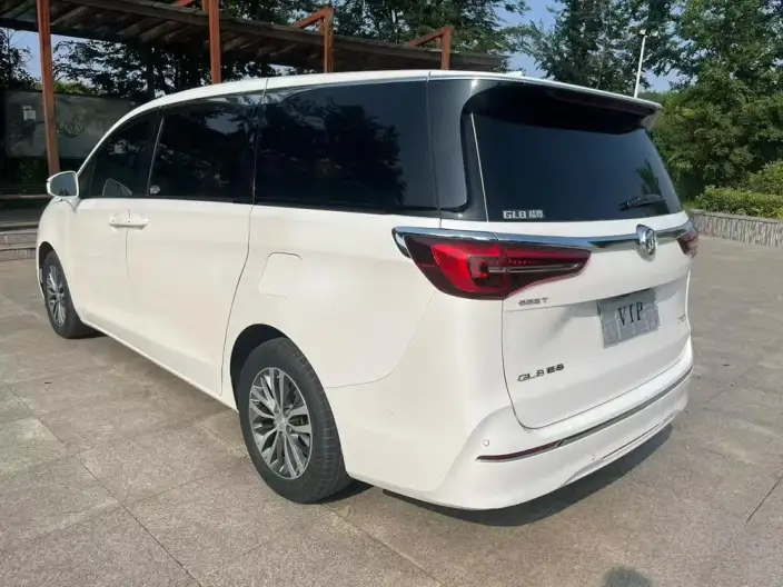 Buick GL8 2021 Model ES Luzun 653T Exclusive Model – фото 4